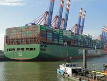  CSCL STAR  Terminal Eurogate in Hamburg am 25.02.2011 
overall length (m): 366,10 
overall beam (m): 51,30 
maximum draught (m): 15,00 
maximum TEU capacity: 13798 
