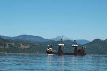 Ein Stammholz Transport Leichter. Zum entladen wird er gekr�ngt.