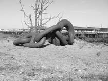 altes Eisen
Bremer Industriehafen 12.03.07