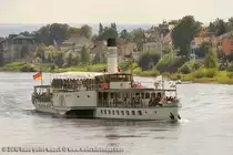 Dampfer Dresden am 21.09.10 in H�he Dresden-Niederpoyritz. Im Hintergrund Dresden-Laubegast
