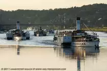 Nix los auf der Elbe ? Das konnte man am 09.07.11 nicht sagen, als eine kleine Dampferparade nach Pillnitz unterwegs war. Vorn f�hrt DRESDEN, gefolgt von LEIPZIG und KURORT RATHEN. Danach schaufelt sich der Dampfer VLTAVA flusssauf. Im Hintergrund folgen noch die Neubauschiffe GR�FIN COSEL und AUGUST DER STARKE.