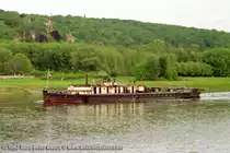 10.05.93.Dresden-Loschwitz. Der mit einem Heckschaufelrad angetriebene Schlepper BESKYDY aus Decin f�hrt flussabw�rts.