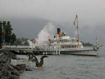 Kursschiffe fahren auch bei schlechtem Wetter.
Hier die Rhone an der Anlegestelle in Vevey,
mit einem wetterfesten Kapit�n auf der Br�cke.
(28.05.2007)