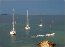 Am �resund bei Drag�r s�dlich von Kopenhagen. 26.8.2006 (Matthias)
