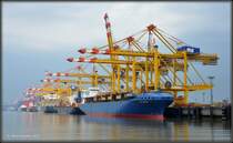 Das Containerterminal Bremerhaven am 31.07.2011.