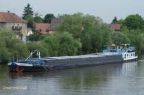 PAULINA (ENI 08073001) (1992-2009) am 10.6.2005, auf dem Main vor Sommerhausen / 
ex Express 70 (1957), ex Fortuna (1986), ex Arena (1986), dann Revanche (2009) / 
Binnenfrachtschiff / L�a 73,04 m, B 8,2 m, Tg 2,82 m / 1150 t / 1 Cummins-Diesel, 820 PS / 1957 bei Bayerische Schiffswerft, Erlenbach
