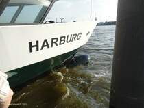 Hamburg am 25.7.2012: der neue Wulstbug an der HADAG-F�hre HARBURG