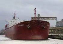 3.11.2013 Warnem�nde. Seaguardian.