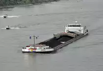 GMS  Santina  mit Kohle beladen auf dem Rhein in Bonn - 28.09.2013