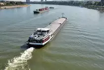 GMS  Fitariek  auf dem Rhein in Bonn - 04.09.2013