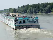 PRINZESSIN KATHARINA(09948003; L=111; B=11m; 4x380PS; max.148Passagiere; Bj.1990) in voller Fahrt bei Melk Donauaufw�rts; 130830