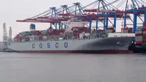 COSCO  HOPE  Containerschiff      Hamburg-Hafen    8.12.2013  

366 x 48 m


