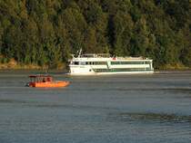 DANUBIA(L=102; B=11,4m; 71Kabinen; Crew:40; BRT1372; 20km/h)trifft im Bereich der Schlögener Schlinge auf die Radfähre MONICA; 130824 