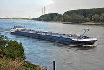 TMS  Panamera  auf dem Rhein bei Wittig - 06.10.2013