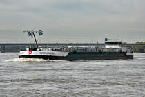 TMS  Sempachersee  auf dem Rhein bei Bonn-Oberkassel - 19.10.2013