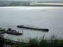 GMS Sophia Soraya (04805900 , 97,50 x 13,60) am 13.04.2014 auf der Elbe bei Blankenese zu Tal.