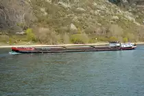 Der alte  Kilian  pflügt durch den Rhein bei Remagen - 28.03.2014