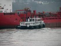 MS Else Maria Theresa der Lotse geht an Bord
23.11.2007 auf der Elbe bei Teufelsbr�ck
