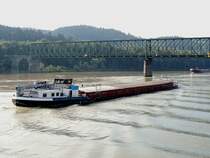 GAU(04502780; L=86; B=9,5m; 1400t; 800PS; Bj.1957) im Bereich der Kräutlsteinbrücke bei Passau, Stromaufwärts; 130831