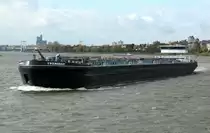 TMS Friendship (02330121 , 135 x 15m) am 22.10.2014 bei Porz auf Rhein-Bergfahrt.