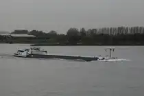 GMS Mira-Socandes (02317677 , 80 x 9m) am 23.10.2014 gut abgeladen am 23.10.2014 bei Millingen / Niederlande auf dem Rhein zu Berg. 