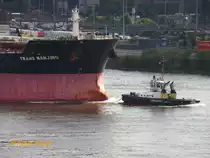 PETER (IMO 9445863) am 26.8.2014, Hamburg, bei der Assistenz des Bulk Carriers TRANS NANJING,  einscheren aus dem Köhlbrand in die Elbe, /
ASD-Schlepper, Damen ASD 2411 / BRZ 258 / Lüa 25,92 m, B 11,34 m, Tg 5,85 m / 2 Diesel, Caterpillar 3516B TA HD/D, 4.180 kW, 5.683 PS, zwei Azimuth) Rolls-Royce Aquamaster US 255, Propeller D = 2,6 m, 12,5 kn, Pfahlzug: 70,3 t / 2008 bei Damen Shipyard, Netherland (gebaut Haiphong, Vietnam) / Flagge: Deutschland, Heimathafen: Hamburg / Eigner: Petersen & Alpers, Hamburg / 
