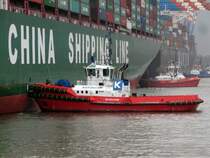 Schlepper SD Dolphin (IMO 9631034 , 32 x 12m) am 13.01.2015 im Walterhofer / Hamburger Hafen bei der Arbeit an der CSCL Globe der China Shipping Line. Der 2013 in Dienst gestellte Schlepper hat einen Tiefgang von 12m !