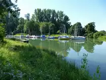 Segelhafen Grezhausen am Altrhein, s�dlich von Breisach, Juli 2015