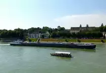 Basel, TMS  Jaguar  und Rheinf�hre St.Alban  Wild Maa , Juni 2015