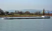 GMS  Belicha  auf dem Rhein in Neuwied - 14.02.2015