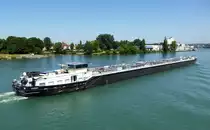 TMS  Ocean , rheinabw�rts bei Weil, Juli 2015