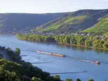 Mittelrhein. Im Abendlicht wird SGMS BARBARA BLOMBERG nebst Schubleichter SL 18005 vom Schlepper PILOT am Großen Lorcher Werth vorbeigezogen. (10. Juli 2015)