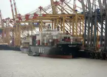 Die MSC VIDHI am 16.05.15 in Bremerhaven