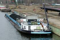 GMS Tiffany (04001950 , 80 x 9m) am 07.03.2016 in Berlin-Spandau / Havel.