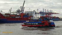 REEPERBAHN (2) (ENI 051 17160) am 9.1.2016, Hamburg, Elbe Höhe Övelgönne /
Einmann-Fährschiff Typ 2000 / HADAG / Lüa 29,97 m, B 8,06 m, Tg 1,5 m / 2 Diesel, 2 Ruder-Propeller, 12 kn / 250 Pass. / 2000 bei Grube, Oortkaten, Hamburg /