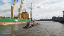 SALMO (ENI 04801550) am 3.5.2016, im Schubverband mit einer mit Sand beladenen Schute, Hamburg, Steinwerder Hafen /
Schubschlepper / Lüa 15,72 m, B 4,95 m, Tg 2,3 m / 1 Diesel, 357 kW (485 PS), Kortdüse / gebaut 1977 bei Cassens in Emden /
