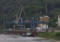 3 Krane im Hafen von Decin. 11.06.2016  11:17 Uhr.