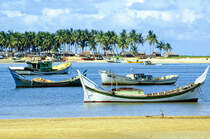 Fischereifahrzeuge im Hafen von Kuala Terengganu. Bild vom Dia. Aufnahme: Februar 1989.