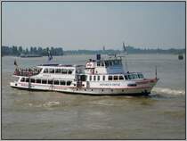 Das Ausflugschiff  Heinrich Heine  der Kln-Dsseldorfer Rheinschiffahrt ist am 12.08.2007 auf dem Rhein in Dsseldorf unterwegs. Das Schiff wurde 1969 gebaut und ist 36 Meter lang. 