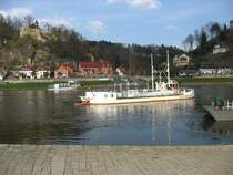 Gierseilfhre  auf der Elbe in Kurort Rathen / Schsische Schweiz; 31.03.2008

