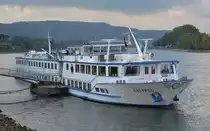 KFGS-Calypso Binnen-Kreuzfahrtschiff,  Auf 75 Metern L�nge und 10,5 Metern Breite verf�gt das famili�re Schiff der guten Mittelklasse �ber 46 Au�enkabinen und eine Kapazit�t von 92 Passagieren. Heimathafen Maassluis, f�hrt f�r Phoenix Reisen am 03.10.16, bei Andernach.