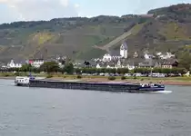 Pegasus Frachtschiff auf dem Rhein mit dem Hintergrund von Leutesdorf zu bergfahrend am 03.10.16.