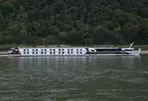 KFGS-Excellence queen  Flusskreuzfahrtschiff auf dem Rhein an der Lahnm�ndung bei Lahnstein. L�nge: 110m, Breite:m 11,45 Passagiere: 143,  Heimathafen: Basel. Am  06.10.16 beobachtet.  
