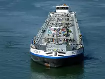 TMS  Nicole II , rheinaufw�rts vor der Schleuseneinfahrt in Rheinau(Rhinau)/Elsa�, Sept.2016