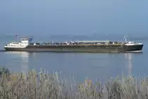 ZARIA , Binnentankschiff , IMO 9667289 , Baujahr 2012 , 86 × 11.5m , 12.11.2016 Grünendeich