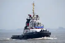 WULF 7 , Schlepper , IMO 9183075 , Baujahr 1998 , 30 × 9.9m , 17.05.2017  Cuxhaven