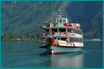 Schweiz-Brienzersee. Der Kapit�n steuert das Schiff draussen auf der Steuerbordseite beim Zur�cksetzen von der Anlegestelle Brienz, da ein treibender Baumstamm so besser in seinem Blickfeld bleibt. Er k�nnte der Schiffsschraube vielleicht schaden.  6.5.2008