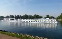 KFGS  Rembrant van Rijn , auf dem Altrhein bei Breisach, L=110m, 2x970PS, 127 Passagiere, Baujahr 1985, unter Niederl�ndischer Flagge, Aug.2017