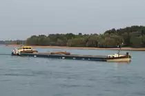 GMS Glissando (02309788 , 110 x 12m) am 05.07.2017 bei Rees auf Rhein-Talfahrt.