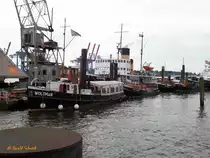 Hamburg am 2.8.2017: Fünf Dampfschiffe im Museumshafen Neumühlen-Övelgönne / WOLTMANN, OTTO LAUFFER, CLAUS D., TIGER und STETTIN /